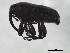  ( - BIOUG00972-B06)  @12 [ ] CreativeCommons - Attribution (2011) CBG Photography Group Centre for Biodiversity Genomics