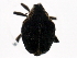  ( - BIOUG00972-E02)  @12 [ ] CreativeCommons - Attribution (2011) CBG Photography Group Centre for Biodiversity Genomics