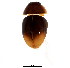  ( - BIOUG00993-E10)  @11 [ ] CreativeCommons - Attribution (2011) CBG Photography Group Centre for Biodiversity Genomics