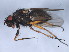  ( - 10JSROW-0023)  @12 [ ] CreativeCommons - Attribution (2010) CBG Photography Group Centre for Biodiversity Genomics
