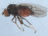  ( - 10JSROW-0194)  @14 [ ] CreativeCommons - Attribution (2010) CBG Photography Group Centre for Biodiversity Genomics
