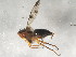  ( - 10JSROW-0139)  @13 [ ] CreativeCommons - Attribution (2010) CBG Photography Group Centre for Biodiversity Genomics