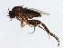  ( - 10JSROW-0361)  @13 [ ] CreativeCommons - Attribution (2010) CBG Photography Group Centre for Biodiversity Genomics