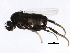  ( - 10JSROW-0435)  @12 [ ] CreativeCommons - Attribution (2010) CBG Photography Group Centre for Biodiversity Genomics