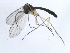  ( - 10JSROW-0502)  @13 [ ] CreativeCommons - Attribution (2010) CBG Photography Group Centre for Biodiversity Genomics