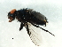  ( - 10JSROW-0621)  @13 [ ] CreativeCommons - Attribution (2010) CBG Photography Group Centre for Biodiversity Genomics