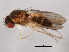  ( - 10JSROW-1184)  @13 [ ] CreativeCommons - Attribution (2011) CBG Photography Group Centre for Biodiversity Genomics