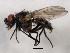  ( - 10JSROW-1185)  @13 [ ] CreativeCommons - Attribution (2011) CBG Photography Group Centre for Biodiversity Genomics