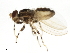  ( - 10JSROW-1373)  @13 [ ] CreativeCommons - Attribution (2011) CBG Photography Group Centre for Biodiversity Genomics