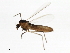  ( - 10JSROW-1379)  @13 [ ] CreativeCommons - Attribution (2011) CBG Photography Group Centre for Biodiversity Genomics