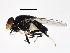  ( - 10JSROW-1582)  @12 [ ] CreativeCommons - Attribution (2011) CBG Photography Group Centre for Biodiversity Genomics