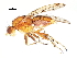  ( - 10JSROW-1644)  @13 [ ] CreativeCommons - Attribution (2011) CBG Photography Group Centre for Biodiversity Genomics