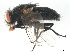  ( - 10JSROW-1795)  @13 [ ] CreativeCommons - Attribution (2011) CBG Photography Group Centre for Biodiversity Genomics