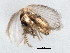  ( - BIOUG00819-D01)  @12 [ ] CreativeCommons - Attribution (2011) CBG Photography Group Centre for Biodiversity Genomics