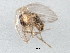  ( - BIOUG00819-D10)  @12 [ ] CreativeCommons - Attribution (2011) CBG Photography Group Centre for Biodiversity Genomics