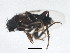  ( - BIOUG00819-H04)  @12 [ ] CreativeCommons - Attribution (2011) CBG Photography Group Centre for Biodiversity Genomics