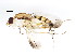  ( - BIOUG00855-C03)  @13 [ ] CreativeCommons - Attribution (2011) CBG Photography Group Centre for Biodiversity Genomics