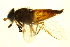  ( - BIOUG00691-G02)  @11 [ ] CreativeCommons - Attribution (2011) CBG Photography Group Centre for Biodiversity Genomics