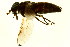  ( - BIOUG00691-H10)  @12 [ ] CreativeCommons - Attribution (2011) CBG Photography Group Centre for Biodiversity Genomics