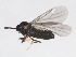  ( - BIOUG00832-B06)  @12 [ ] CreativeCommons - Attribution (2011) CBG Photography Group Centre for Biodiversity Genomics