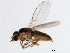  ( - BIOUG00832-F03)  @13 [ ] CreativeCommons - Attribution (2011) CBG Photography Group Centre for Biodiversity Genomics