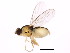  ( - BIOUG00860-B06)  @12 [ ] CreativeCommons - Attribution (2011) CBG Photography Group Centre for Biodiversity Genomics