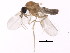  ( - BIOUG00860-B07)  @12 [ ] CreativeCommons - Attribution (2011) CBG Photography Group Centre for Biodiversity Genomics