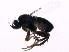 ( - BIOUG00860-G09)  @12 [ ] CreativeCommons - Attribution (2011) CBG Photography Group Centre for Biodiversity Genomics