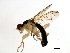  ( - BIOUG00866-A08)  @12 [ ] CreativeCommons - Attribution (2011) CBG Photography Group Centre for Biodiversity Genomics