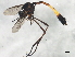  ( - BIOUG00867-H02)  @13 [ ] CreativeCommons - Attribution (2011) CBG Photography Group Centre for Biodiversity Genomics