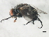  ( - BIOUG00867-H11)  @12 [ ] CreativeCommons - Attribution (2011) CBG Photography Group Centre for Biodiversity Genomics
