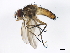  ( - BIOUG00904-F09)  @13 [ ] CreativeCommons - Attribution (2011) CBG Photography Group Centre for Biodiversity Genomics