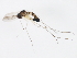  ( - BIOUG00904-G06)  @12 [ ] CreativeCommons - Attribution (2011) CBG Photography Group Centre for Biodiversity Genomics