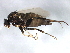  ( - BIOUG00915-B04)  @14 [ ] CreativeCommons - Attribution (2011) CBG Photography Group Centre for Biodiversity Genomics