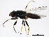  ( - BIOUG00915-D09)  @13 [ ] CreativeCommons - Attribution (2011) CBG Photography Group Centre for Biodiversity Genomics