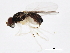  ( - BIOUG00915-D10)  @13 [ ] CreativeCommons - Attribution (2011) CBG Photography Group Centre for Biodiversity Genomics