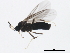  ( - BIOUG00915-E06)  @13 [ ] CreativeCommons - Attribution (2011) CBG Photography Group Centre for Biodiversity Genomics