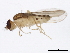  ( - BIOUG00915-E07)  @13 [ ] CreativeCommons - Attribution (2011) CBG Photography Group Centre for Biodiversity Genomics