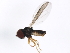  ( - BIOUG00915-E12)  @13 [ ] CreativeCommons - Attribution (2011) CBG Photography Group Centre for Biodiversity Genomics