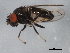  ( - BIOUG00915-G04)  @12 [ ] CreativeCommons - Attribution (2011) CBG Photography Group Centre for Biodiversity Genomics
