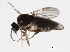  ( - BIOUG00915-G06)  @13 [ ] CreativeCommons - Attribution (2011) CBG Photography Group Centre for Biodiversity Genomics