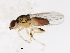  ( - BIOUG00870-A03)  @12 [ ] CreativeCommons - Attribution (2011) CBG Photography Group Centre for Biodiversity Genomics