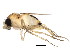  ( - BIOUG00942-G01)  @12 [ ] CreativeCommons - Attribution (2011) CBG Photography Group Centre for Biodiversity Genomics