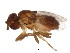  ( - BIOUG00942-G12)  @13 [ ] CreativeCommons - Attribution (2011) CBG Photography Group Centre for Biodiversity Genomics