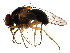  ( - BIOUG00965-C03)  @13 [ ] CreativeCommons - Attribution (2011) CBG Photography Group Centre for Biodiversity Genomics