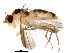  ( - BIOUG00965-G09)  @13 [ ] CreativeCommons - Attribution (2011) CBG Photography Group Centre for Biodiversity Genomics