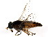  ( - BIOUG00992-B02)  @13 [ ] CreativeCommons - Attribution (2011) CBG Photography Group Centre for Biodiversity Genomics