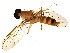  ( - BIOUG00992-B03)  @13 [ ] CreativeCommons - Attribution (2011) CBG Photography Group Centre for Biodiversity Genomics
