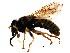  ( - BIOUG00992-B10)  @12 [ ] CreativeCommons - Attribution (2011) CBG Photography Group Centre for Biodiversity Genomics