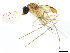  ( - BIOUG01336-C01)  @12 [ ] CreativeCommons - Attribution (2011) CBG Photography Group Centre for Biodiversity Genomics
